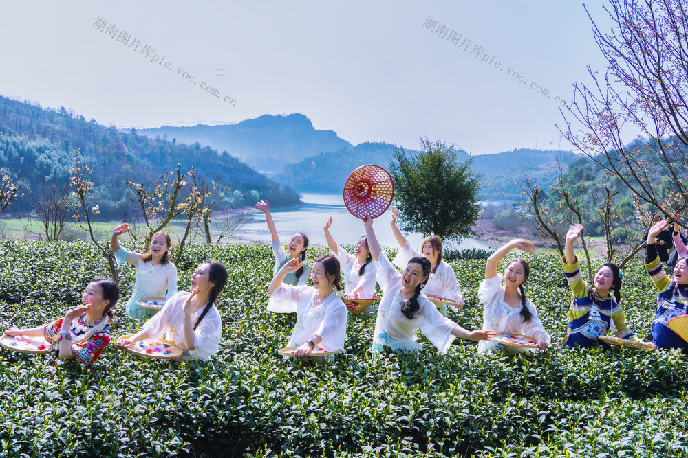 春茶  生态  美丽乡村  农旅融合  乡村振兴  