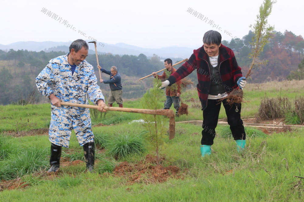 生态 修复 废弃 矿山 安全