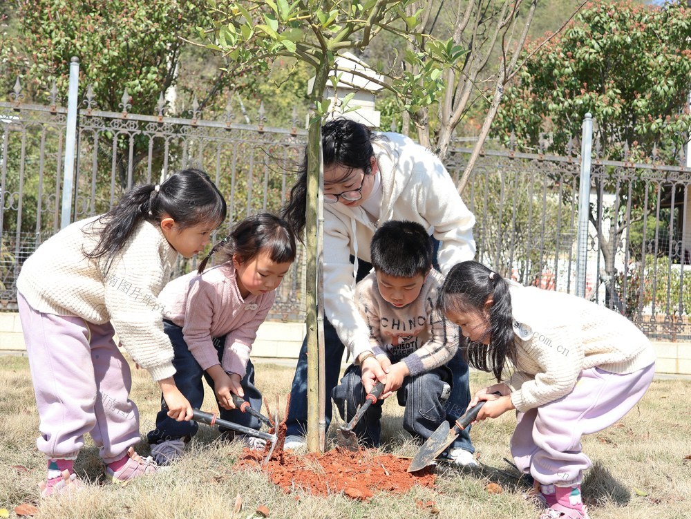   植树造林 绿化家园