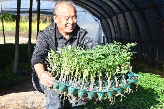 抢抓农时忙生产