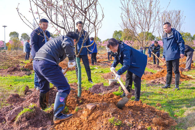 植树 造林 绿化