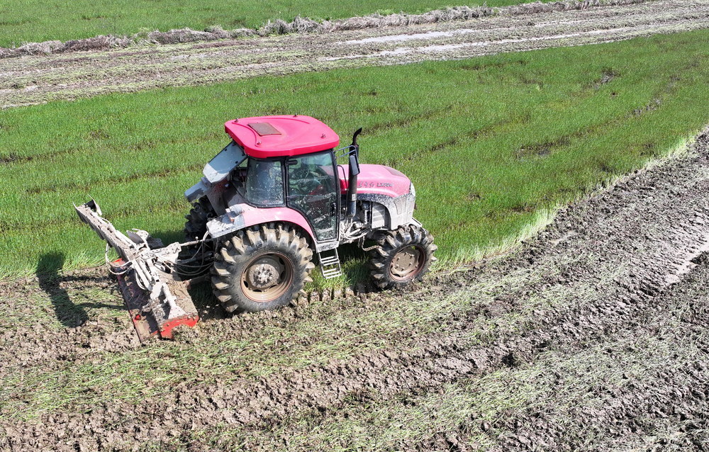 种田囗大户囗忙囗春耕