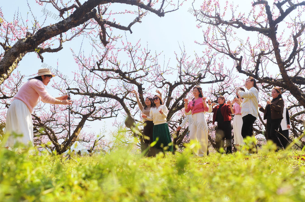 蓝山：桃花盛开迎客来