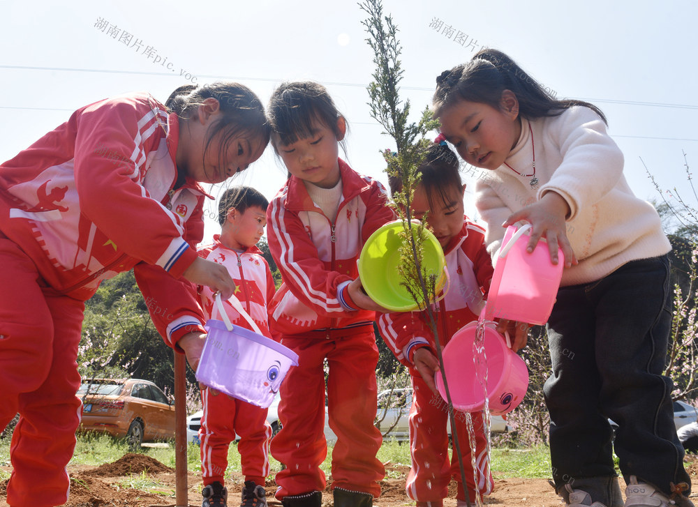 嘉禾：萌娃栽新绿