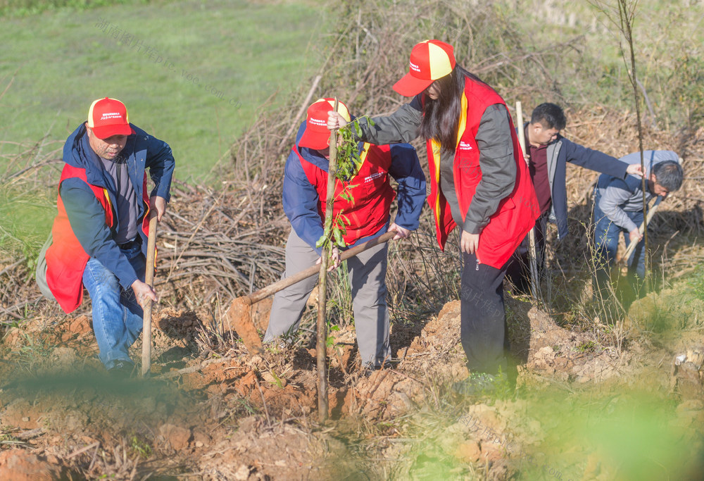 湖南道县：植树添新绿