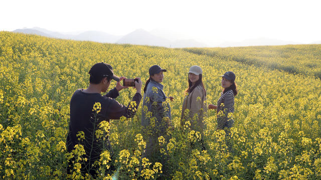三月 宁远 油菜花