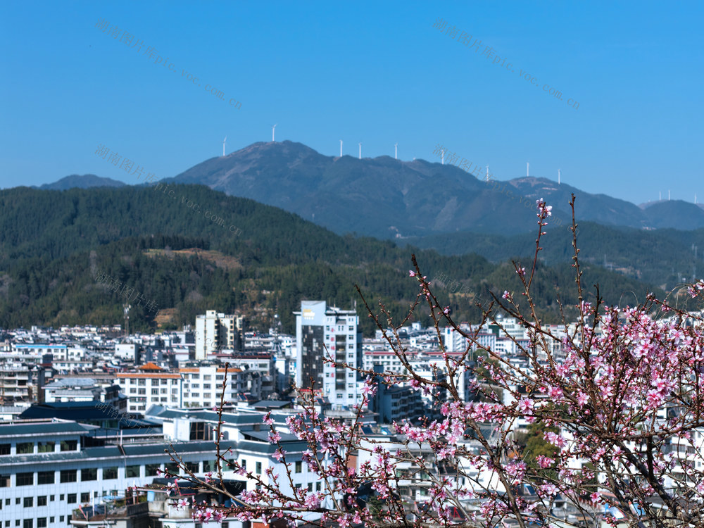 湖南桂东 桃花 山城