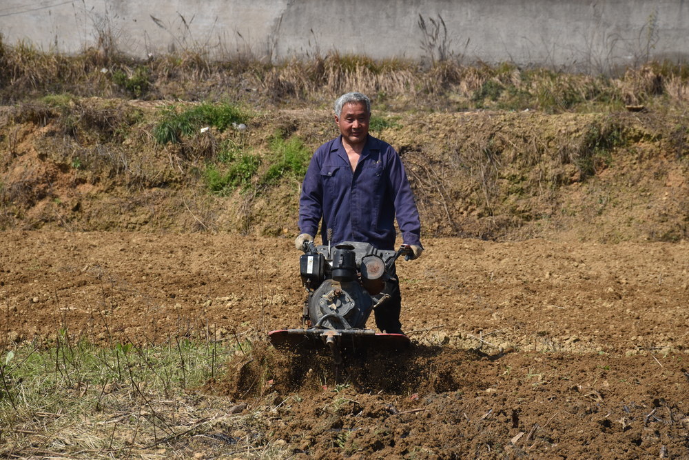 春耕忙盼丰收