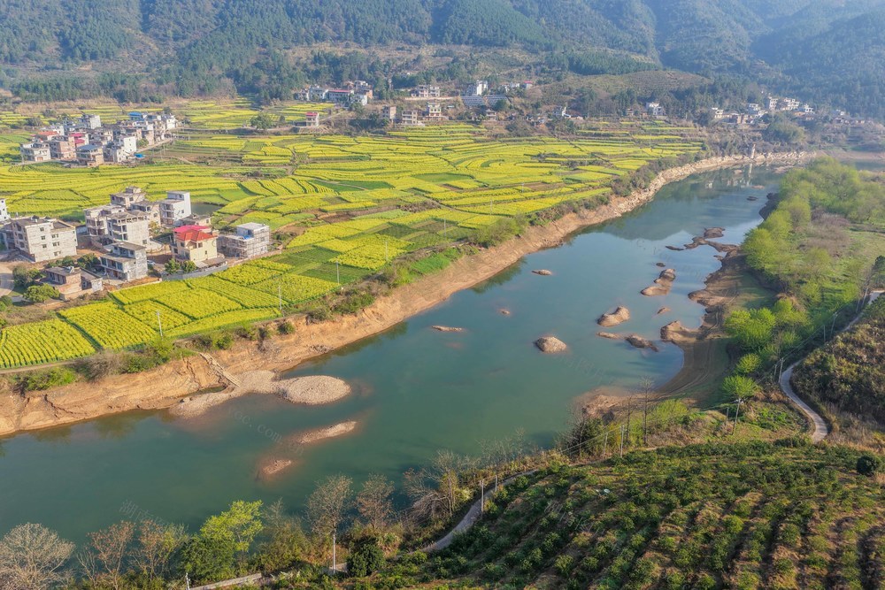 湖南道县：油菜花开扮靓乡村