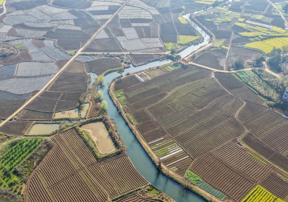 湖南道县：春耕“指纹”大地如画