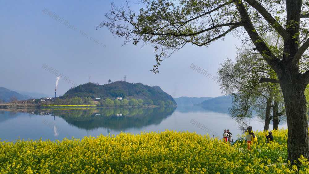 春日，洪江，新农村，美景