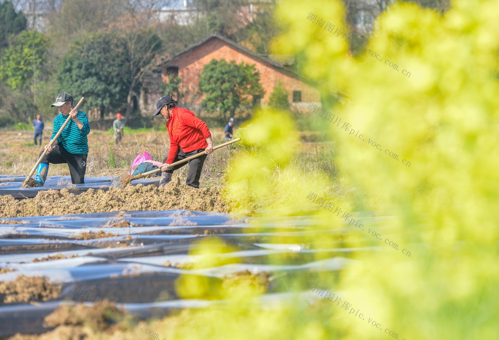 湖南道县：春暖农事忙