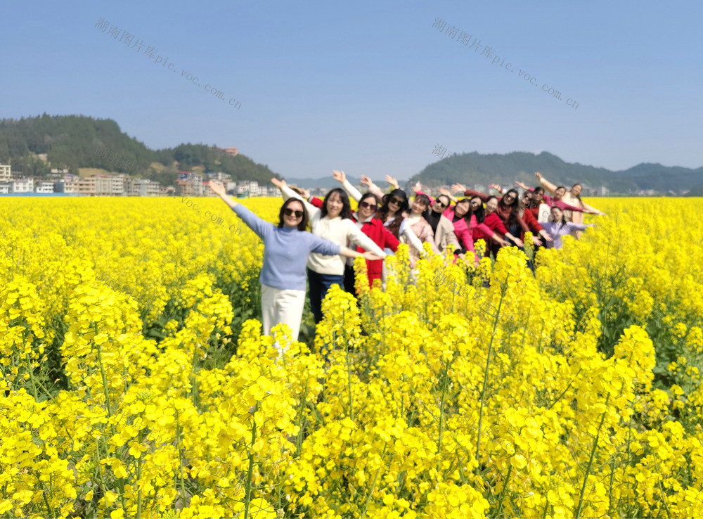 隆回第三届油菜花节赏花活动开幕（图）

3月13日，湖南省隆回县第三届油菜花节赏花活动在司门前镇石山湾村开幕，当天，上千名游客前来该村千亩油菜基地赏花游玩。近年来，该县在三阁司、北山、司门前、羊古坳等乡镇集中连片种植油菜，春可赏花，秋可收籽，每年举办油菜花节，逐步实现经济、生态、旅游“三赢”目标。