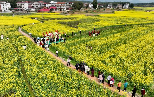 春花 春光 油菜花 旅游 乡村游 赏花  大自然 游客 乡村 踏青 农旅