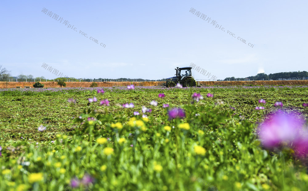 春暖  农事  春耕  春管  农机