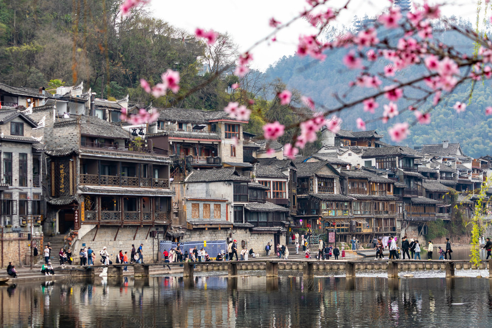凤凰  春天  风光  旅游  湘西 