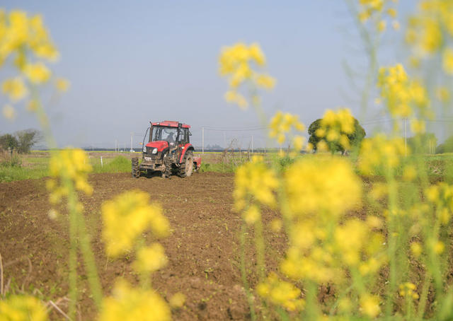 湖南道县：春日农事忙