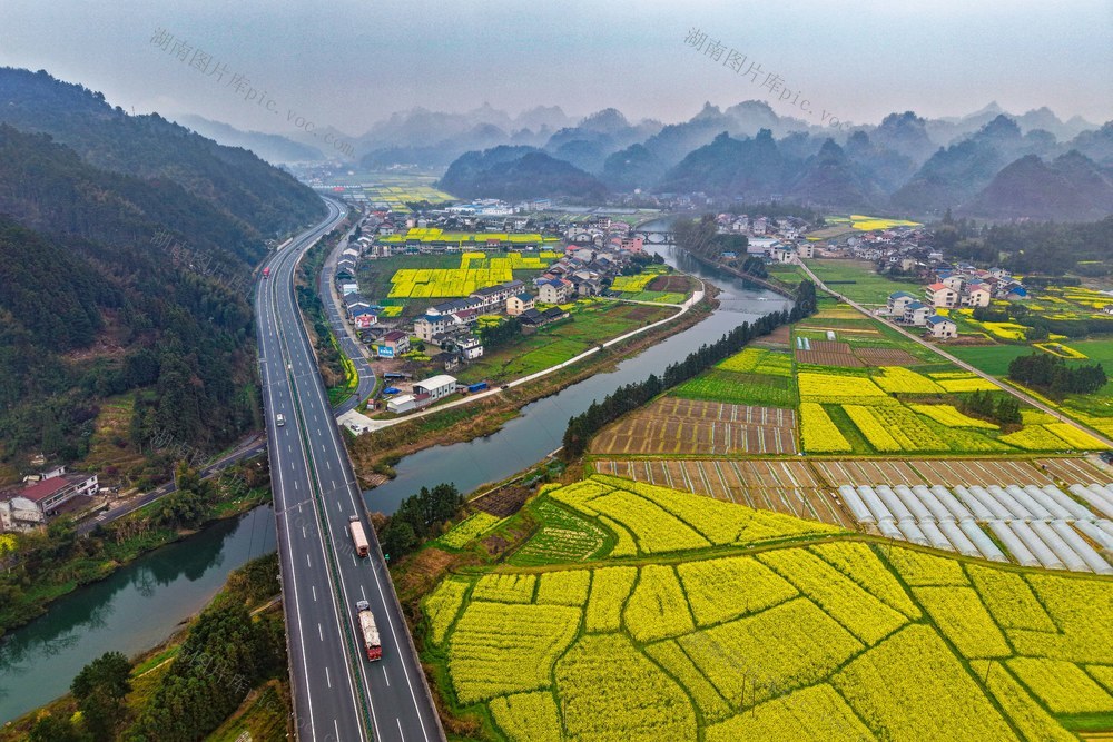 春天、乡村、农村、油菜花、人居环境