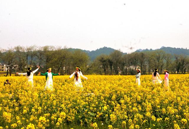 油菜花 游客 打卡