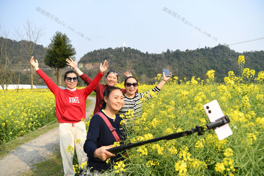 乐享  周末 春光  绥宁 油菜花 