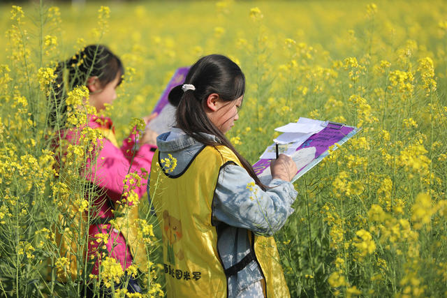 踏春 赏花