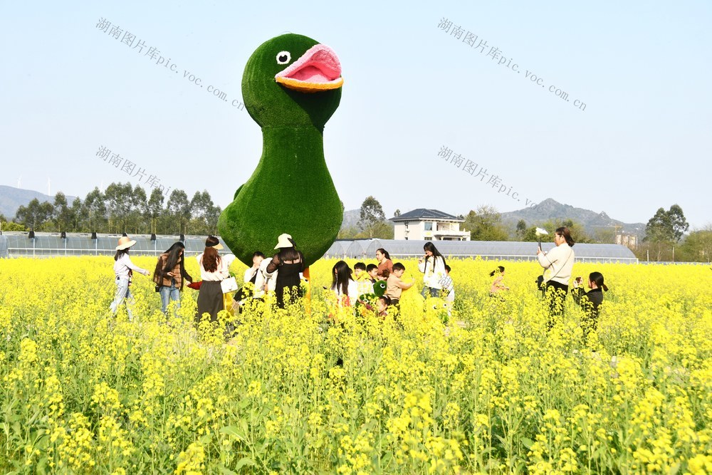  春光明媚赏花时