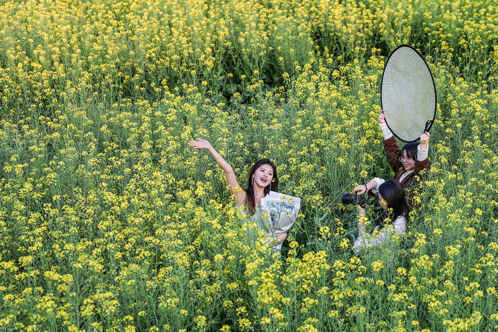 临武县--油菜花开引客来