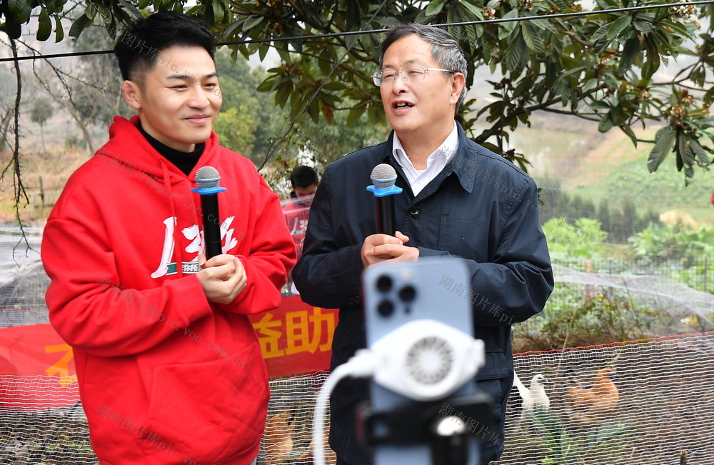 保和村 保和鸡 助农直播