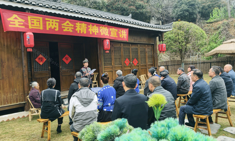 全国人大代表 杨进军 宣讲 2026年两会精神 城步 苗族