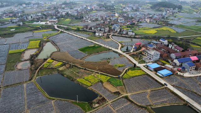 地膜 农田 茶陵 科技