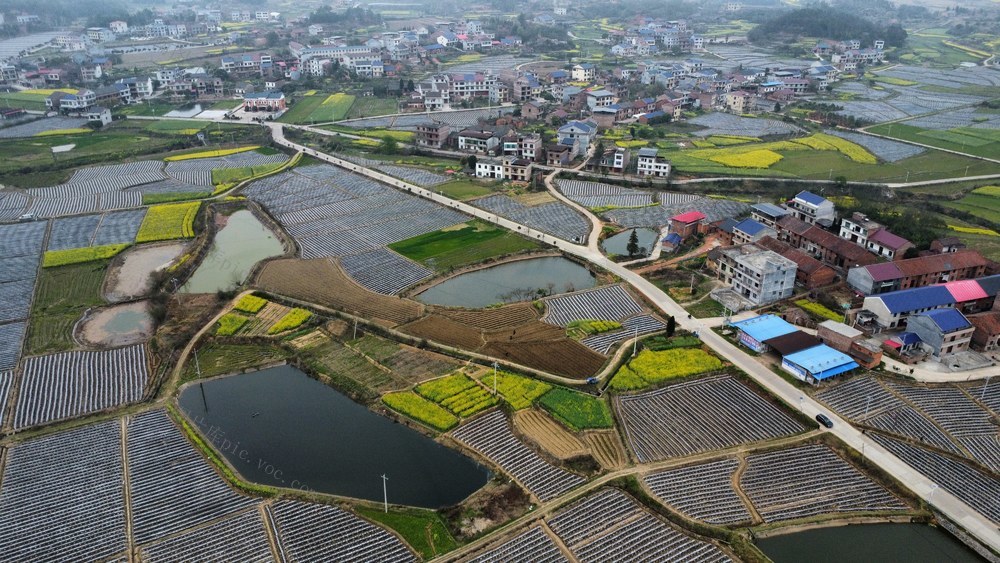 地膜 农田 茶陵 科技