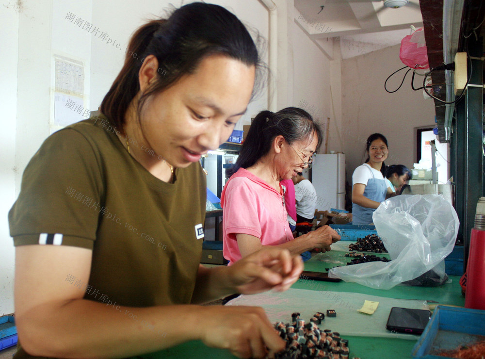 扶贫车间 电子厂 就业岗位 湘林新城