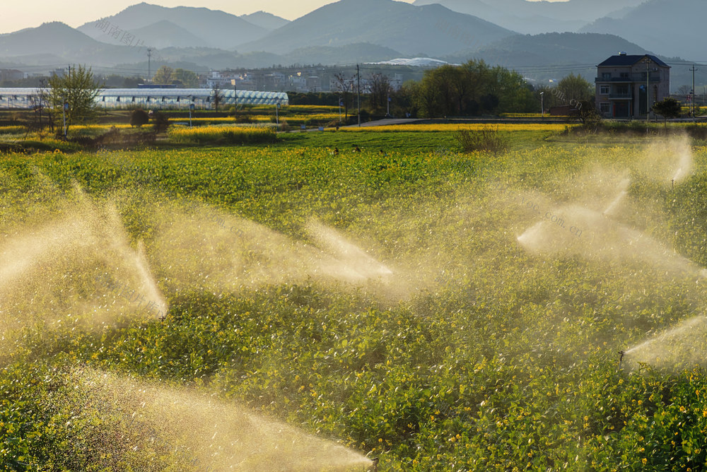 嘉禾：节水灌溉  产业增效