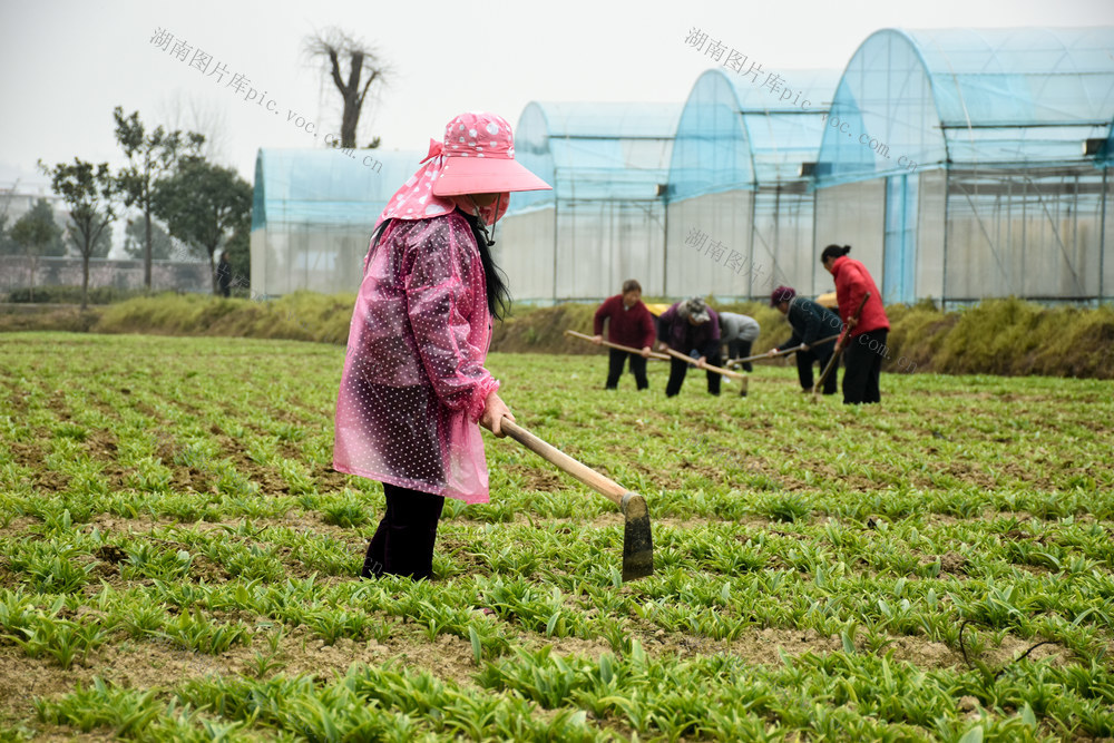 人勤春早备耕忙