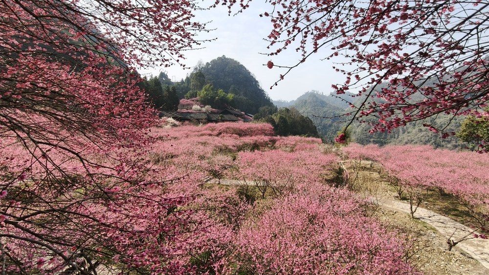 永顺、陈家坡、竹梅山寨