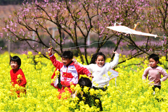 嘉禾：放飞风筝  乐享春光