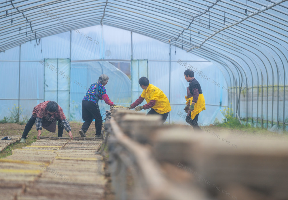湖南道县：春分将至农事忙