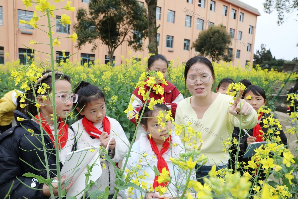       田间课堂    快乐成长
