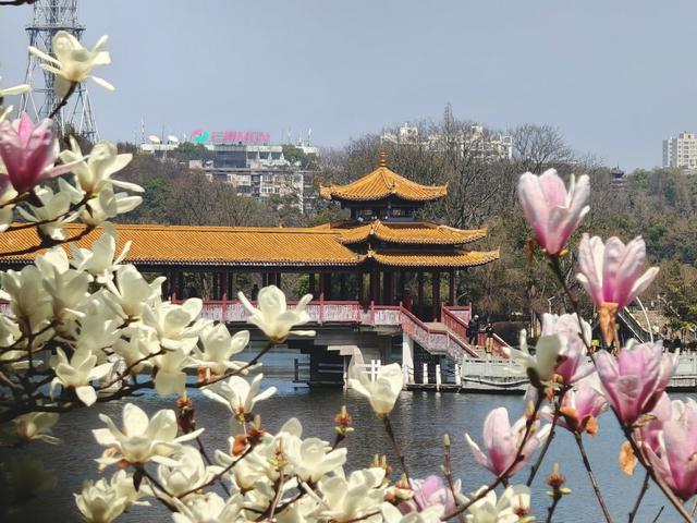 湖南烈士公园