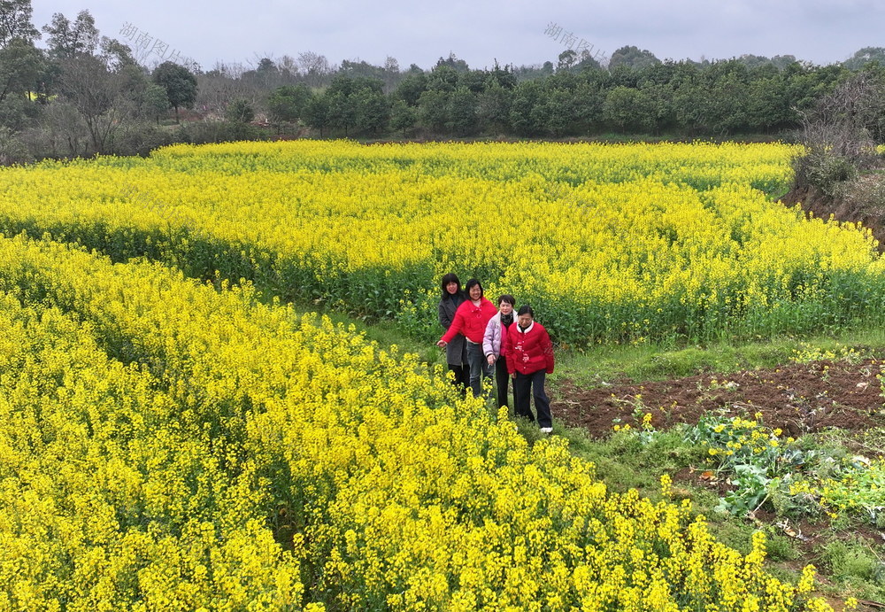 女土囗游玩囗赏花