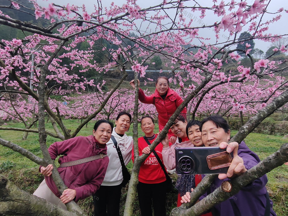 湖南桂东 桃花 游客