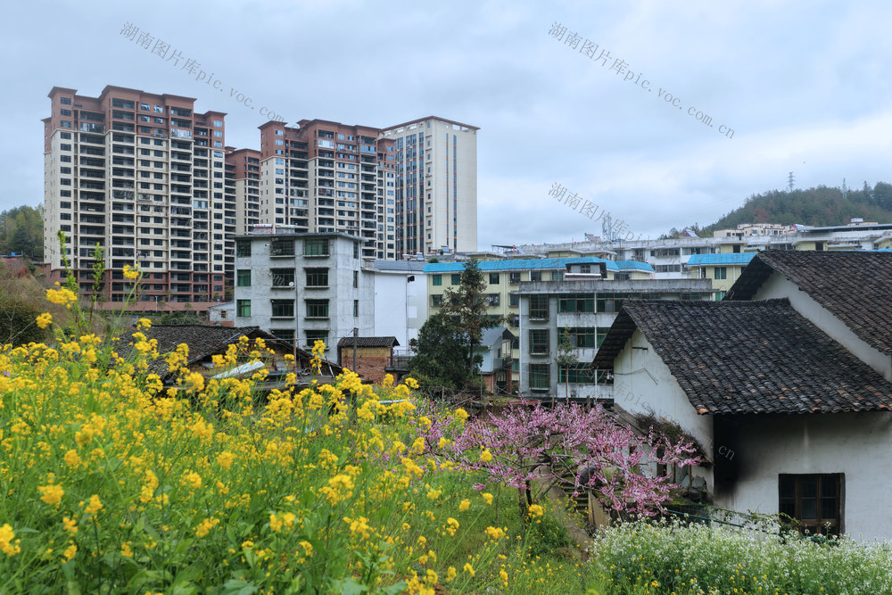 湖南桂东 花 乡野 楼 山城 美景图 春日