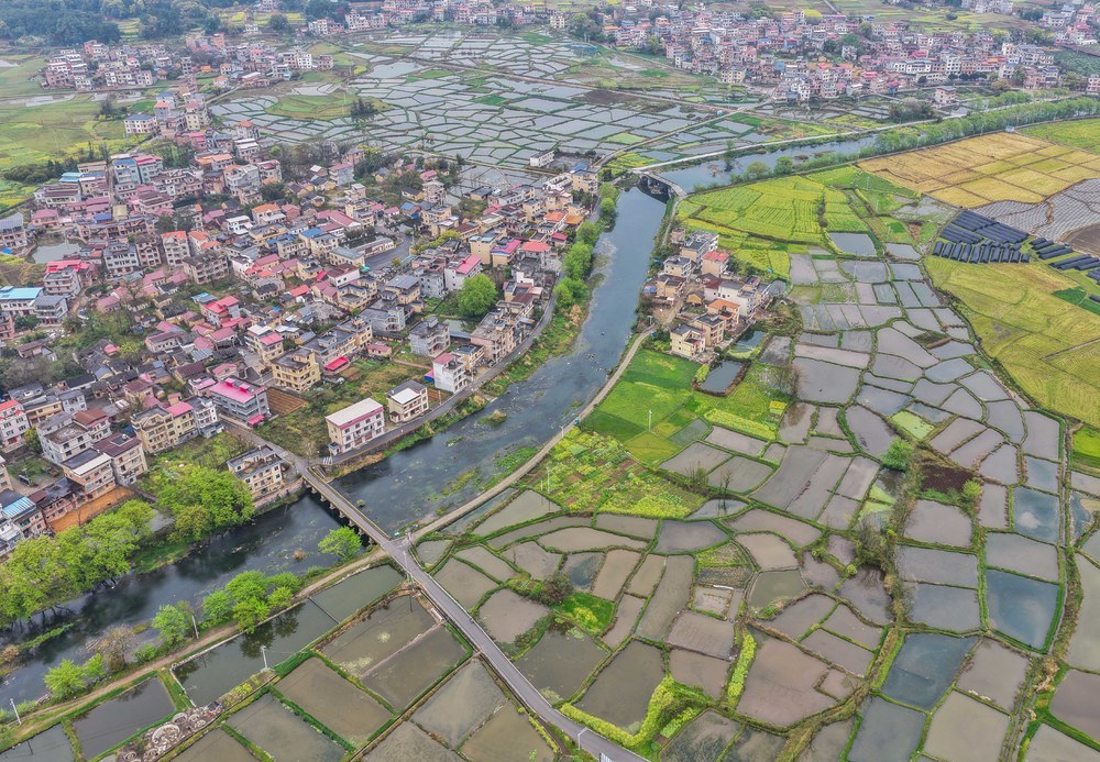 湖南道县：生态鱼塘春色美