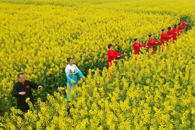 太极拳 国际太极拳日 油菜花