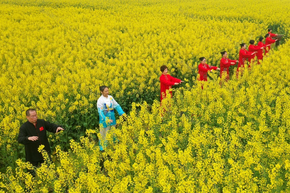 太极拳 国际太极拳日 油菜花