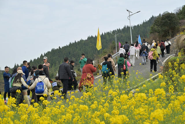 体育,全民健身,徒步,春光