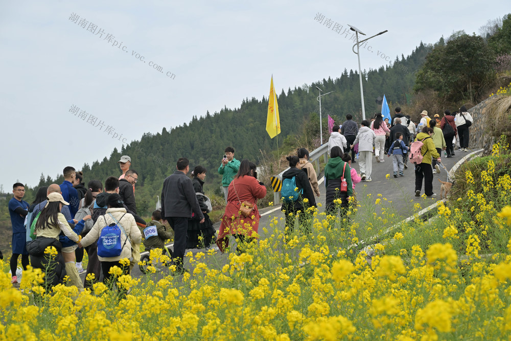 体育,全民健身,徒步,春光