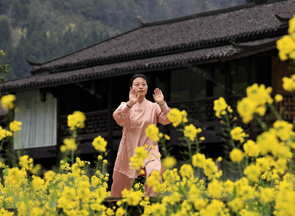 张家界 春 黄龙洞 旅游