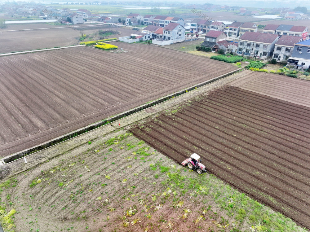 春耕  带状复合种植  大豆  玉米  土地耕整  耕整机