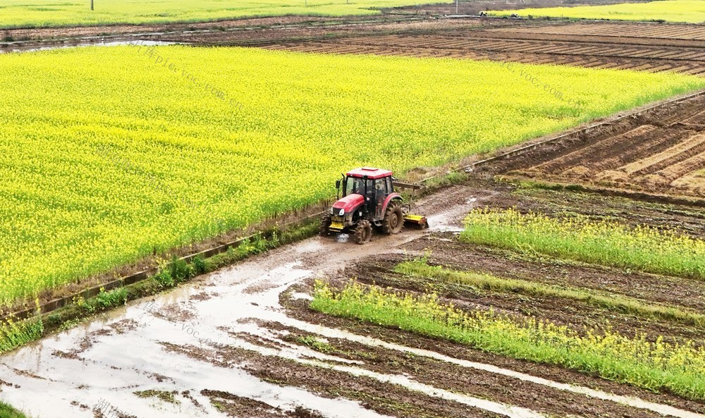   田间春耕忙